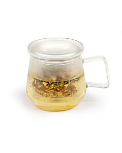 Tea for one Livorno glas transparant 290ml